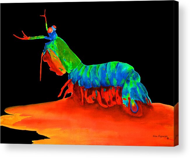 Blue Acrylic Print featuring the painting Mantis Shrimp On Black by Ken Figurski