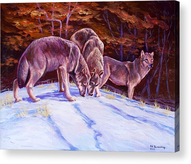 Animals Acrylic Print featuring the painting Meager Pickings by Ed Breeding