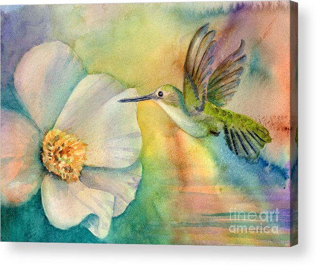 Hummingbird Acrylic Print featuring the painting Morning Glory by Amy Kirkpatrick