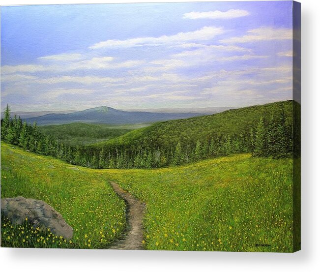 Mountain Meadow Summer Vermont Acrylic Print featuring the painting Mountain Meadow by Ken Ahlering