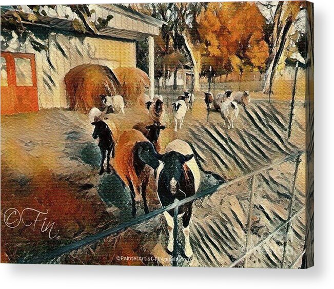 My Sheep Herd.i Love My Sheep .painterartistfins Sheep Acrylic Print featuring the painting MY SHEEP put a smile on my face, every morning by PainterArtist FIN
