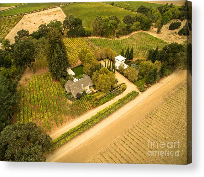  Acrylic Print featuring the photograph Napa Valley by David Junod