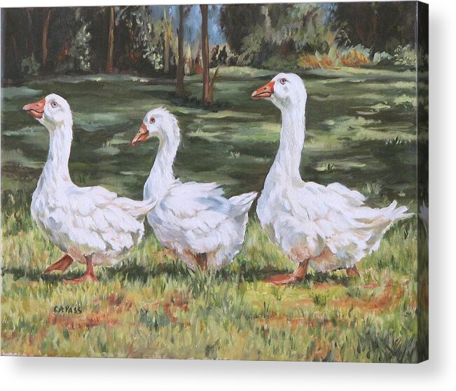 Ducks Acrylic Print featuring the painting Off To The Pond by Cheryl Pass