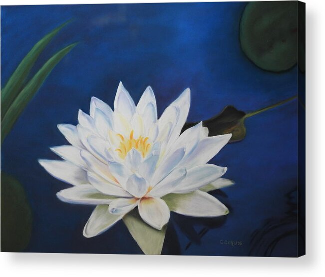 Water Acrylic Print featuring the pastel Oh Lily by Carol Corliss