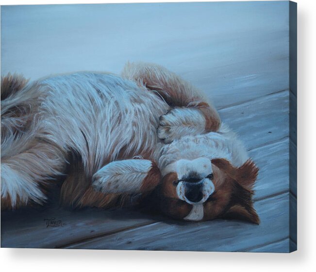 Dog Acrylic Print featuring the painting Dog Gone Tired by Tammy Taylor