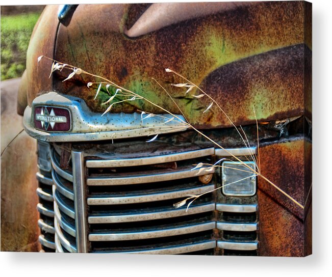 Abandoned Acrylic Print featuring the photograph Old Grill by Norma Warden
