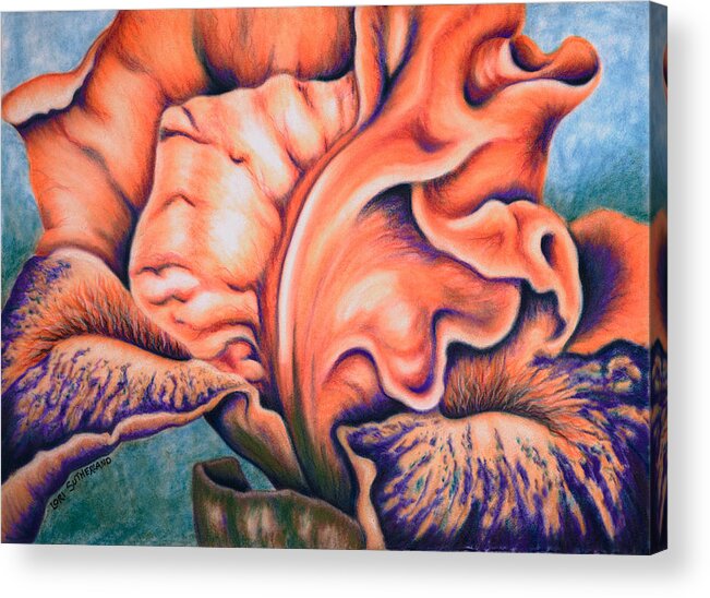 Pastel Acrylic Print featuring the painting Orange Iris by Lori Sutherland