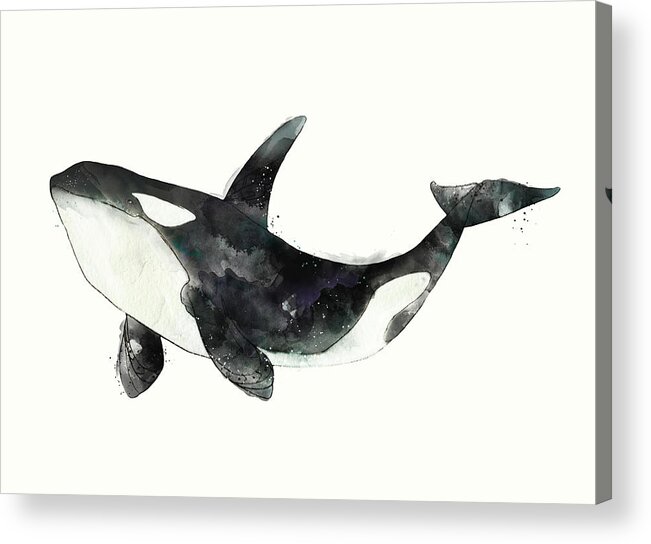 Orca Acrylic Print featuring the painting Orca from Arctic and Antarctic Chart by Amy Hamilton