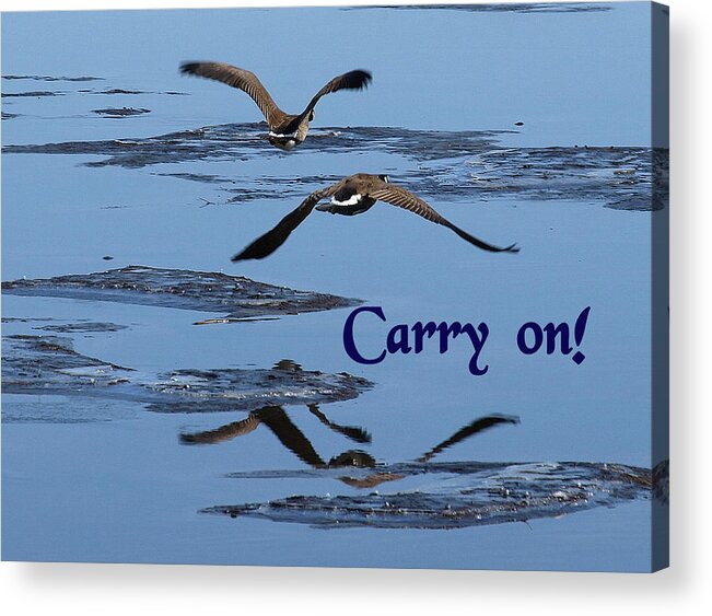 Nature Acrylic Print featuring the photograph Over Icy Waters Carry On by DeeLon Merritt