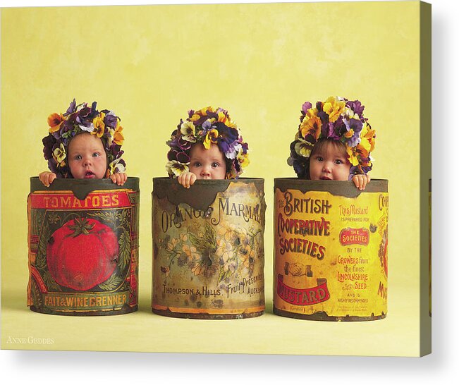 Pansy Acrylic Print featuring the photograph Pansy Tins by Anne Geddes