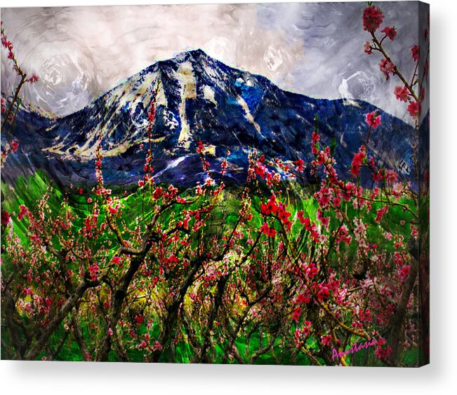 Peach Blossoms Acrylic Print featuring the photograph Paonia Peach Blossoms and Mount Lamborn by Anastasia Savage Ealy