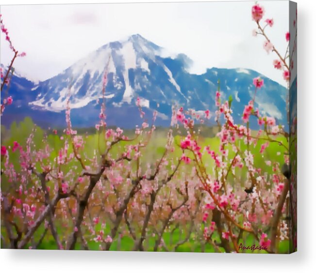 Peach Blossoms Acrylic Print featuring the photograph Paonia Peach Blossoms and Lamborn IV by Anastasia Savage Ealy