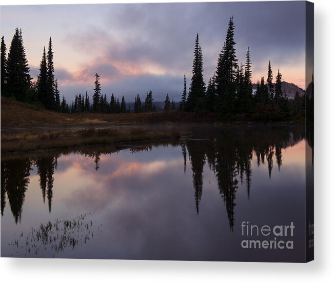 Mt. Rainier Acrylic Print featuring the photograph Pastel Majesty Revealed by Michael Dawson