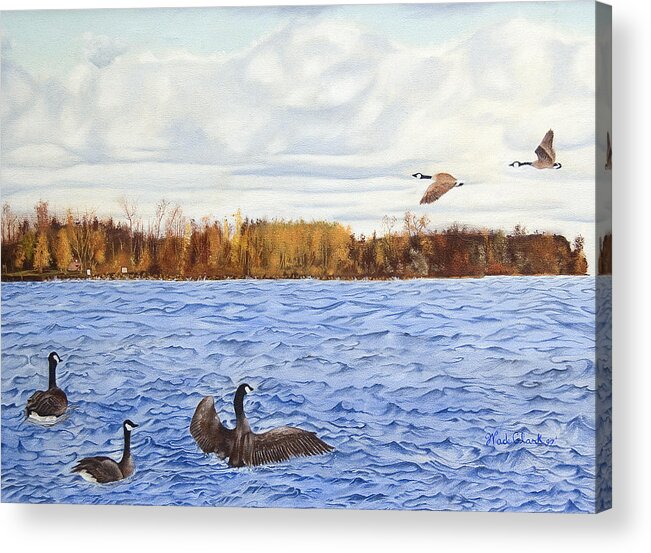 Birds Acrylic Print featuring the painting Peche island canadas by Wade Clark