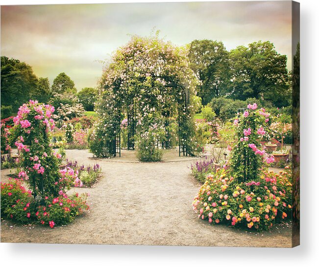 Rose Garden Acrylic Print featuring the photograph Peggy's Rose Garden by Jessica Jenney