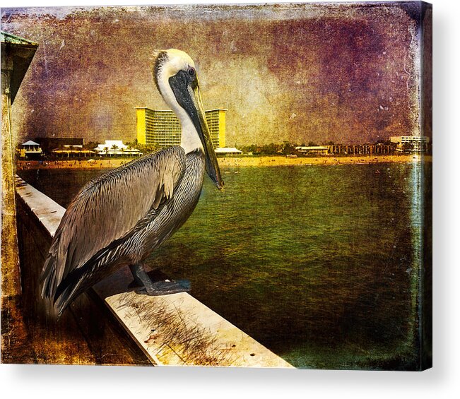 Pelican Acrylic Print featuring the photograph Pelican On The Pier by Arlene Carmel