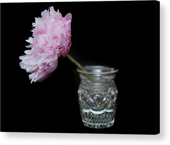 Peony Acrylic Print featuring the photograph Peony and Vase by Terence Davis