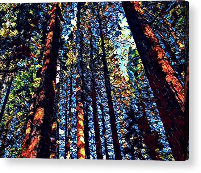 Phil's Trees Acrylic Print featuring the digital art Phil's Trees by Sandy Taylor