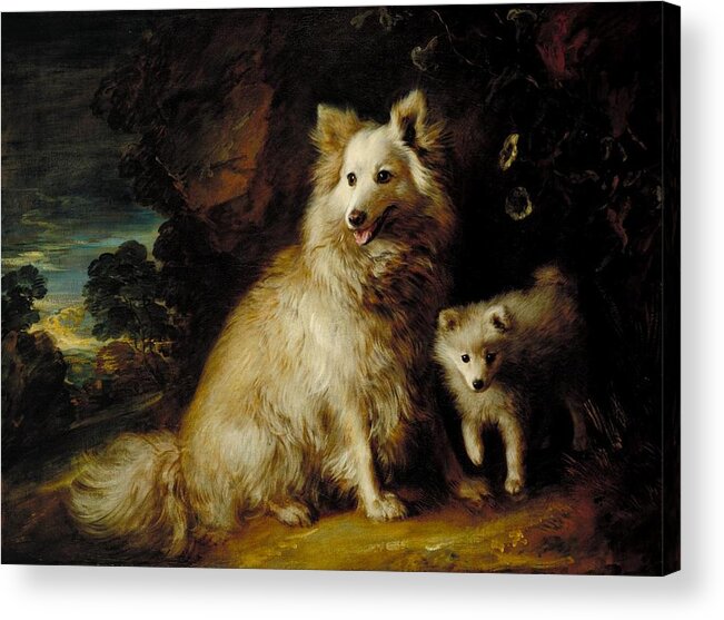 Thomas Gainsborough Acrylic Print featuring the painting Pomeranian Bitch and Puppy by Thomas Gainsborough