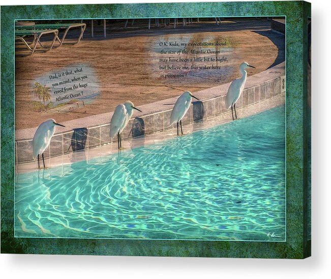 Pool Acrylic Print featuring the photograph Pool Talk by Hanny Heim