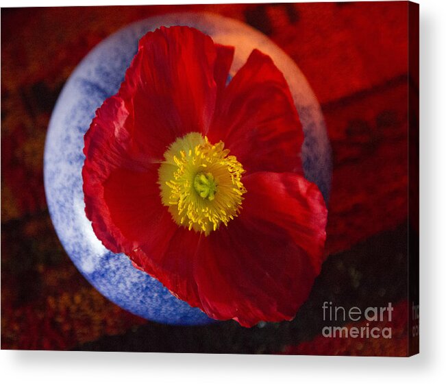 Red Acrylic Print featuring the photograph Poppy on Orange by Jeanette French