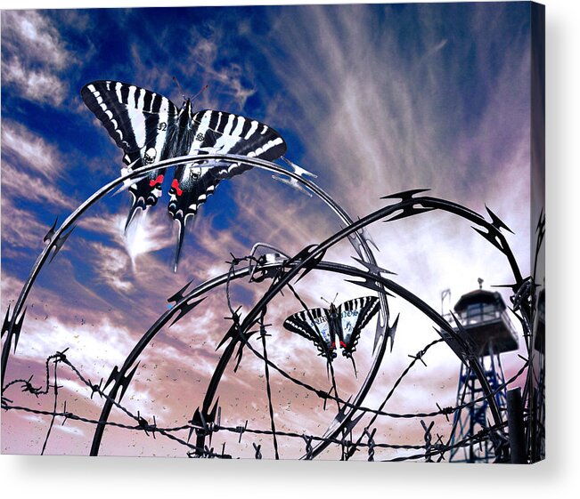 Butterfly Acrylic Print featuring the digital art Prison Butterflies by Rick Mosher