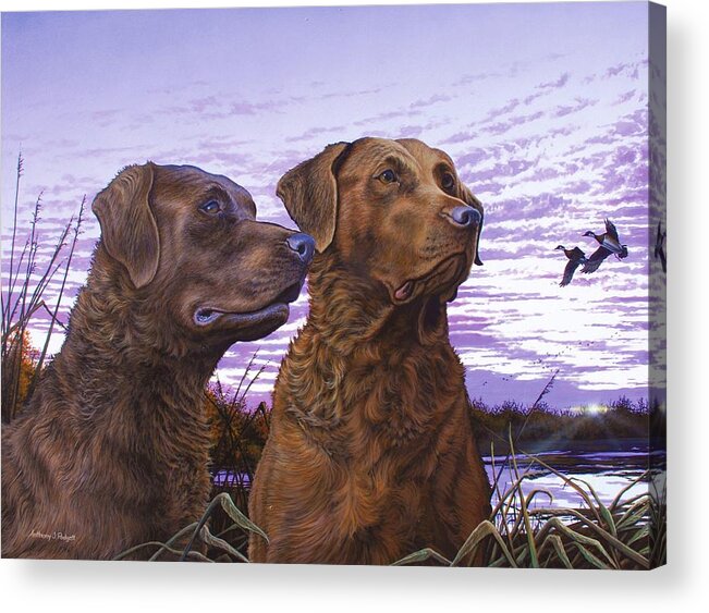 Chessie Acrylic Print featuring the painting Ragen and Sady by Anthony J Padgett