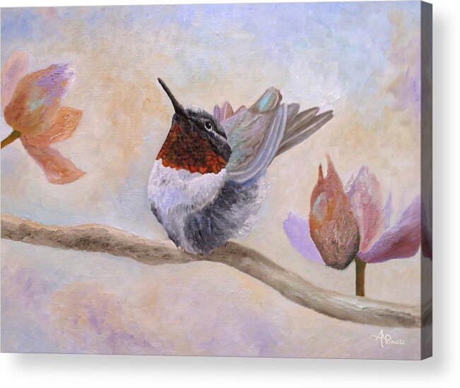 Ruby-throated Hummingbird Acrylic Print featuring the painting Rain Dance by Angeles M Pomata