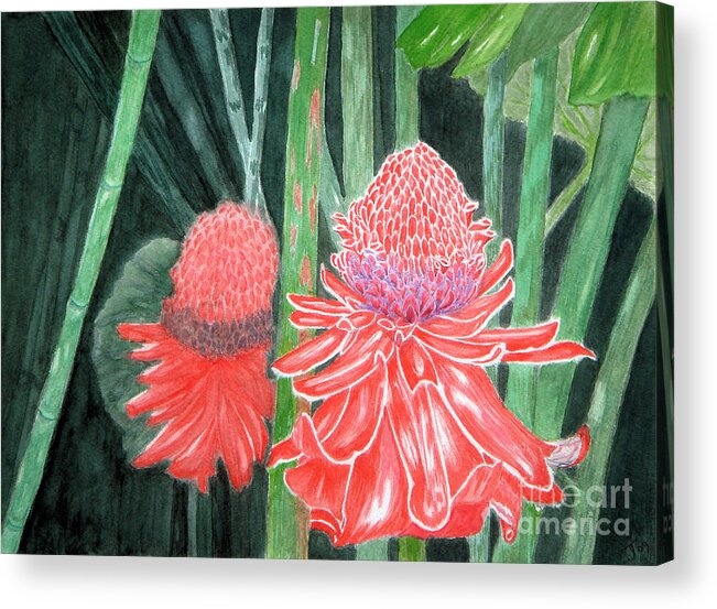 Flowers Acrylic Print featuring the painting Red Torch Ginger by Yvonne Johnstone