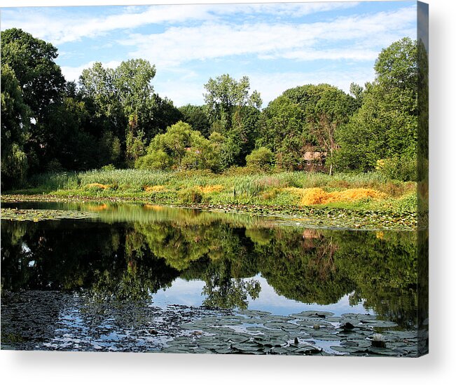 Summer Acrylic Print featuring the photograph Reflecting on a Summer Morning by William Selander