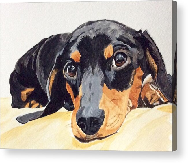 Dachshund Acrylic Print featuring the painting Please Come Home by Sonja Jones
