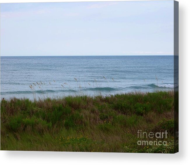 Relax Acrylic Print featuring the photograph Relax by Tim Townsend