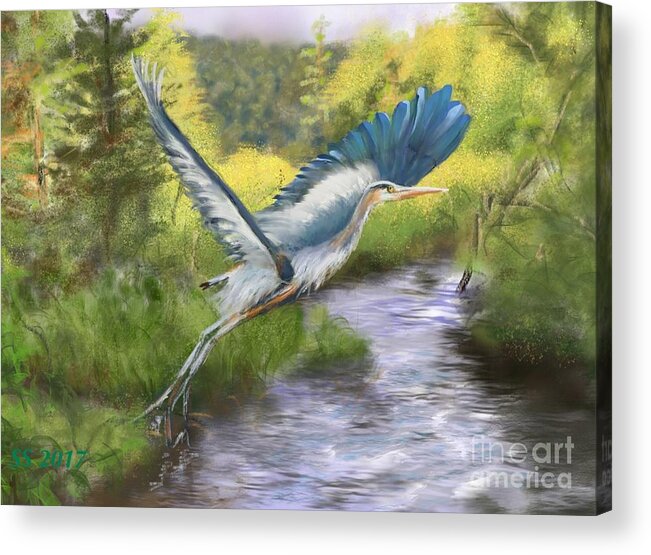 Great Blue Heron Acrylic Print featuring the painting Rising Free by Susan Sarabasha