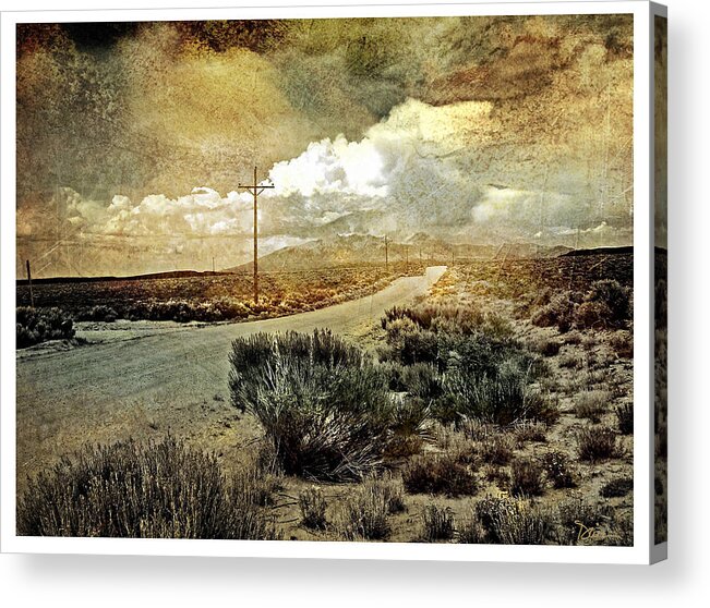 Sagebrush Acrylic Print featuring the photograph Sagebrush Road by Peggy Dietz