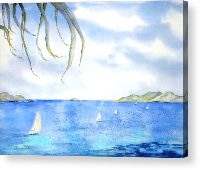 Caribbean Acrylic Print featuring the painting Sailing Between the Islandsd by Diane Kirk