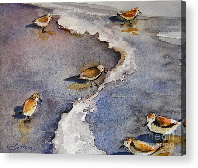 Original Seabird Watercolor Paintings Artwork Acrylic Print featuring the painting Sandpiper Seashore by Julianne Felton
