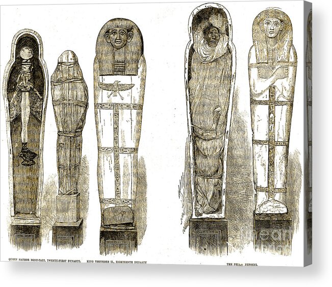 Historic Acrylic Print featuring the photograph Sarcophagi And Egyptian Mummies by Wellcome Images