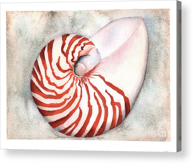 Nautilus Acrylic Print featuring the painting Shimmering Nautilus by Hilda Wagner