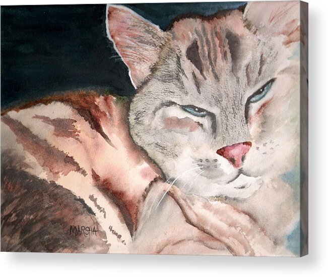 Animal Cat Painting Watercolor Acrylic Print featuring the painting Sleepy Cat by Marsha Woods