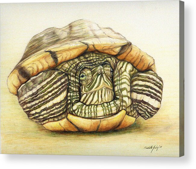 Turtle Acrylic Print featuring the painting Slow Retreat by Charlotte Yealey