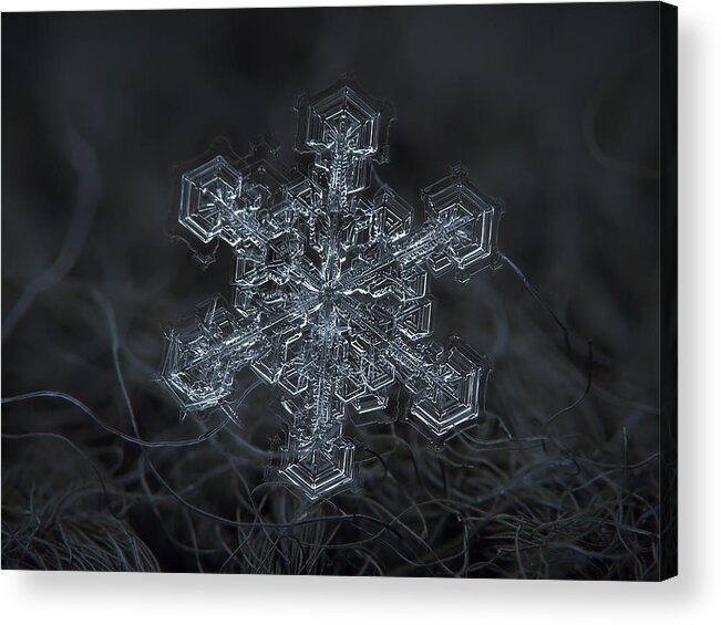 Snowflake Acrylic Print featuring the photograph Snowflake photo - Complicated thing by Alexey Kljatov