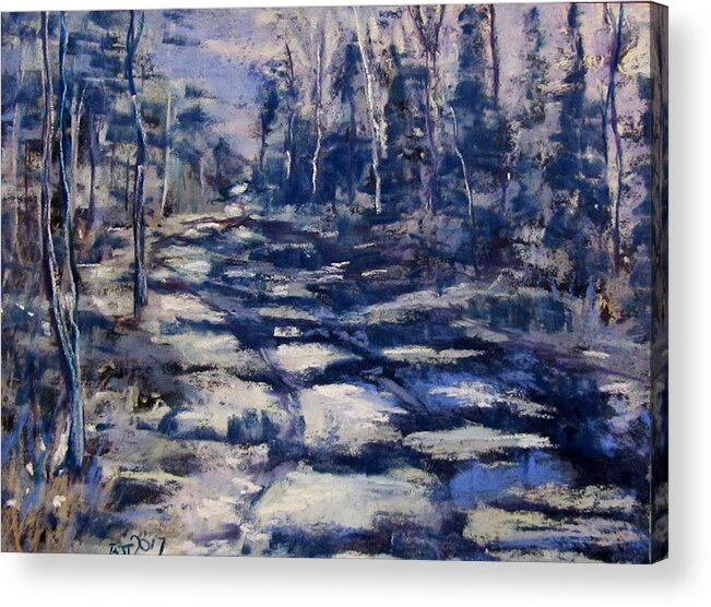 Snow Acrylic Print featuring the pastel Snowy Trail by Barbara O'Toole