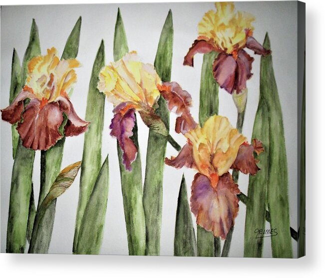 Flower Acrylic Print featuring the painting Spring Iris by Carol Grimes