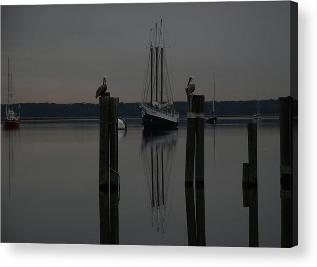 Water Acrylic Print featuring the photograph Standing Guard by Renee Holder