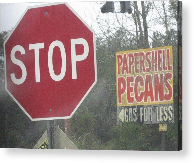 Landscape Acrylic Print featuring the photograph Stop Paper Shell Pecans Gas for Less by Stephen Hawks