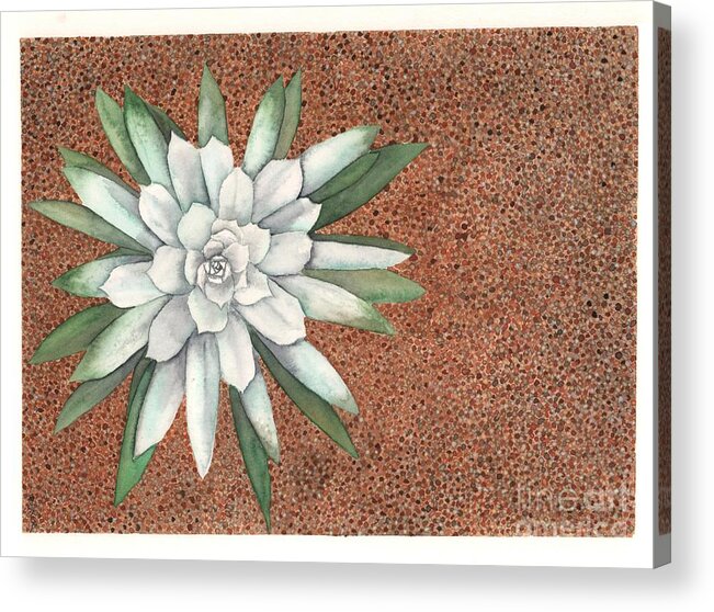 Succulent Acrylic Print featuring the painting Succulent by Hilda Wagner