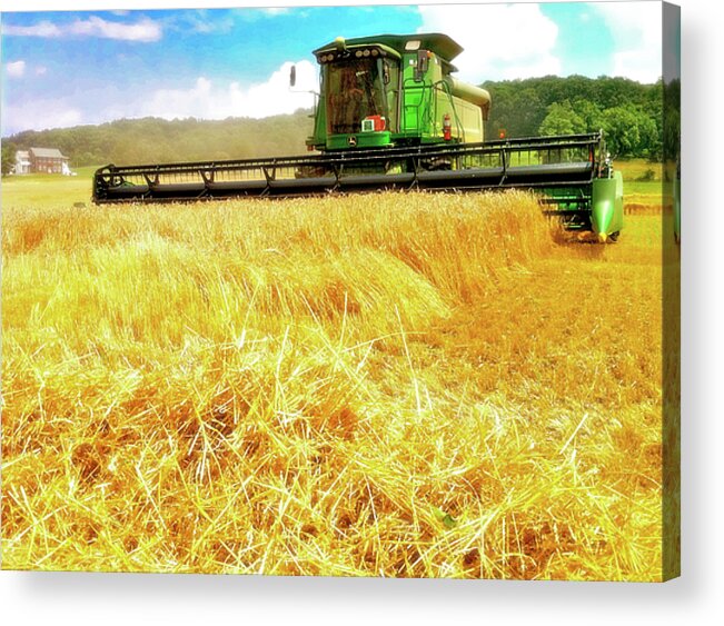 Harvest Acrylic Print featuring the photograph Summer Harvest by Kevyn Bashore