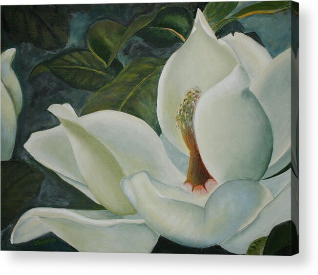 Magnolia Acrylic Print featuring the painting Summer Magnolia by Sandy Murphree Jacobs