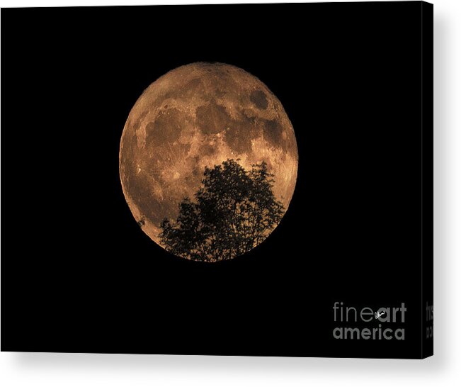 Supermoon Rising Acrylic Print featuring the photograph Supermoon Rising by Alana Ranney