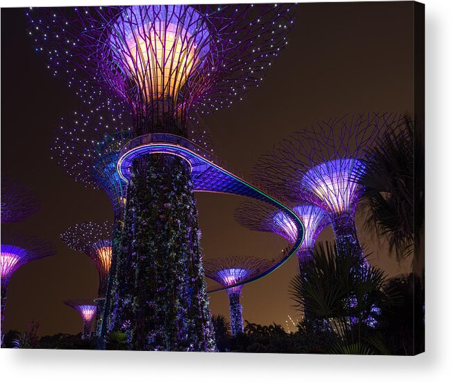 Singapore Acrylic Print featuring the photograph Supertrees by Nisah Cheatham